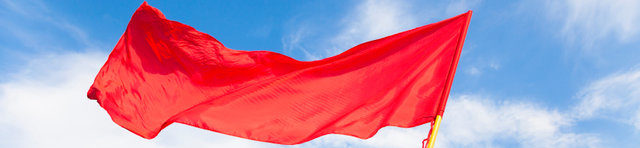 Red Flags Fraud Blog
